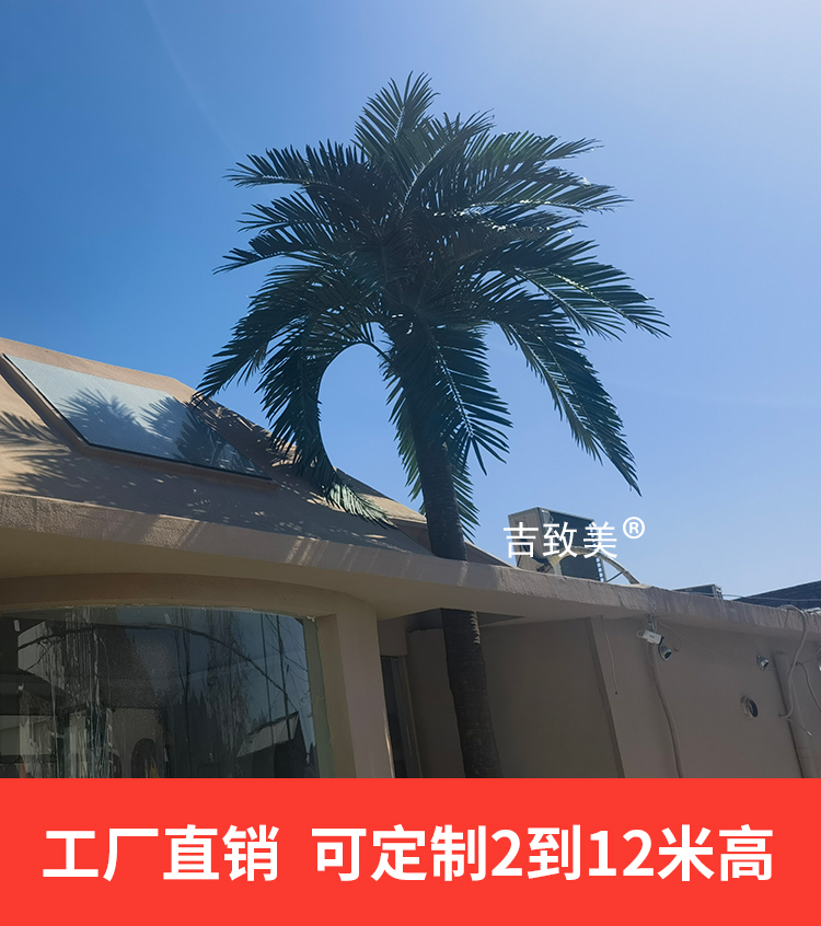 大型仿真椰子树定做