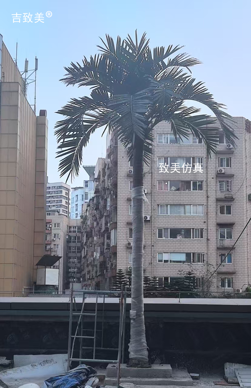 大型仿真椰子树图片