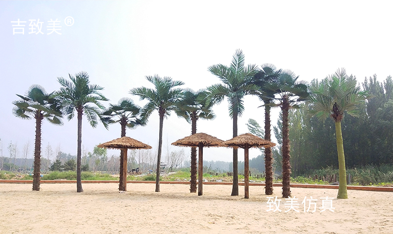 大型仿真椰子树图片