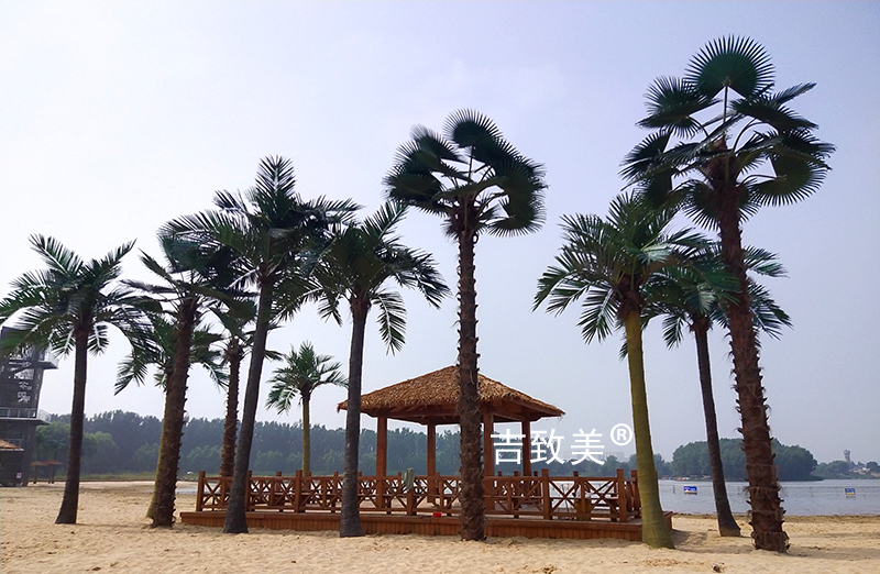 大型仿真椰子树图片