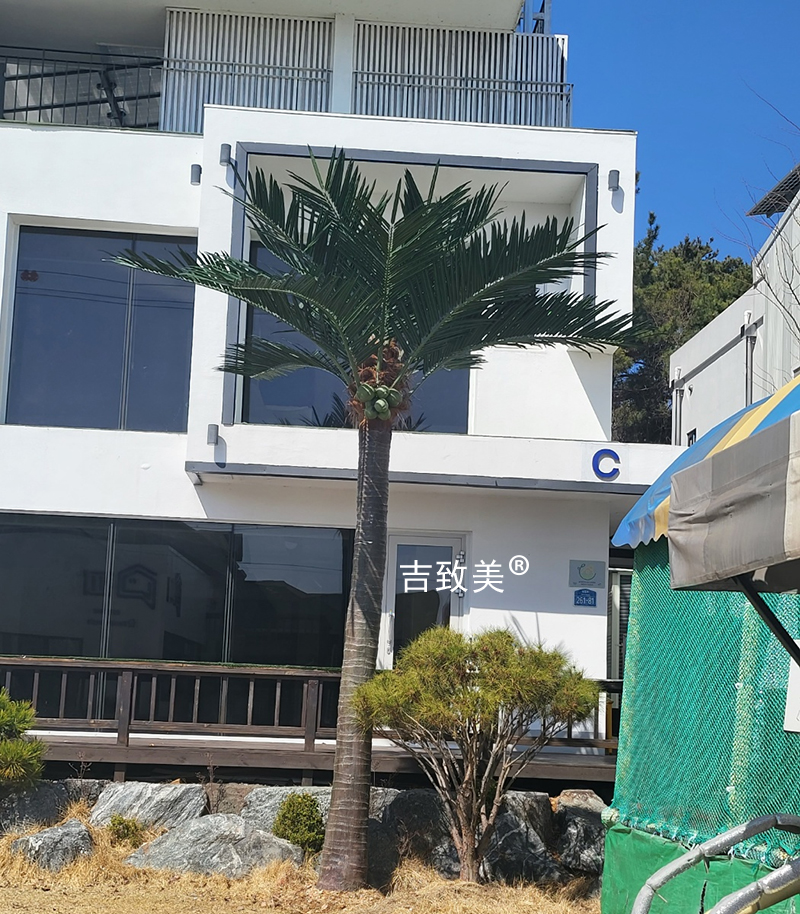 大型仿真椰子树图片
