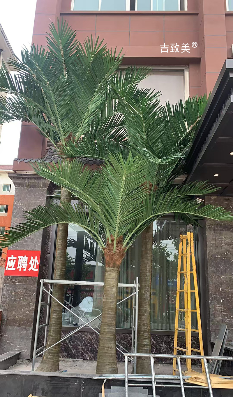 大型仿真椰子树图片