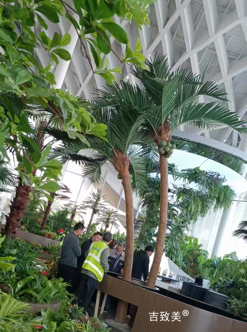 大型仿真椰子树图片