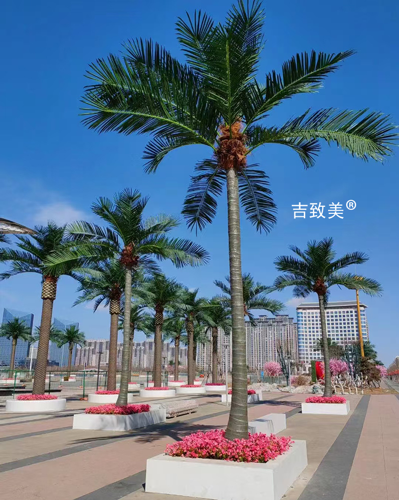 大型仿真椰子树图片