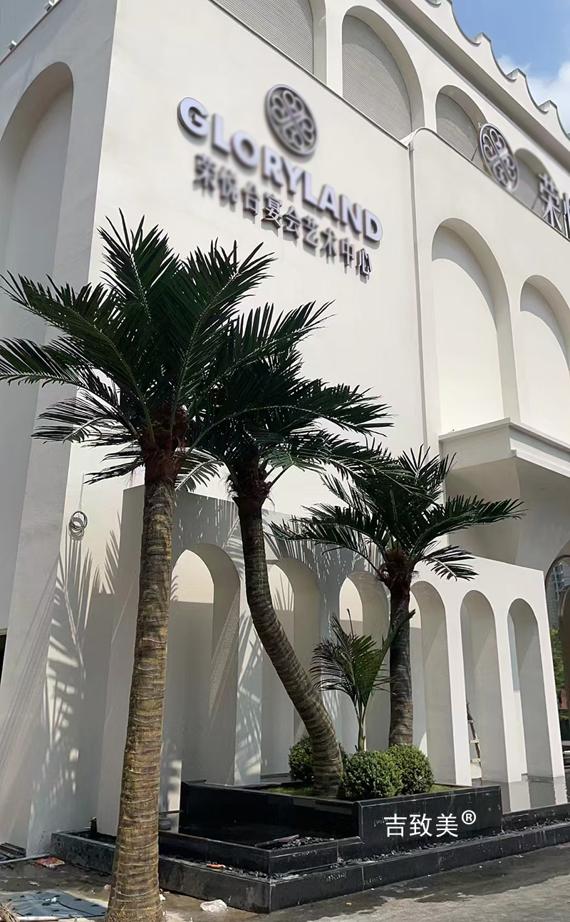 大型仿真椰子树图片