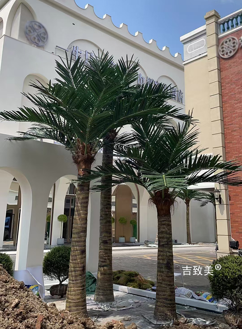 大型仿真椰子树图片