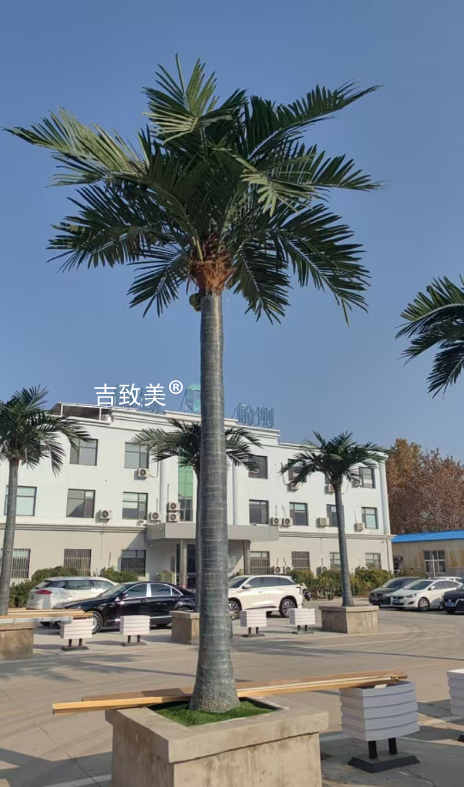 大型仿真椰子树图片