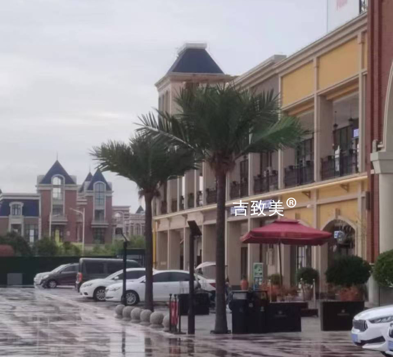 大型仿真椰子树图片