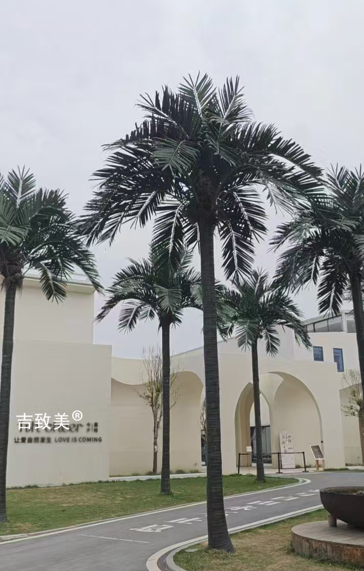 大型仿真椰子树图片