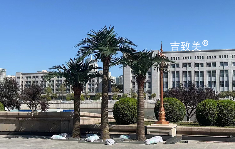 大型仿真椰子树图片