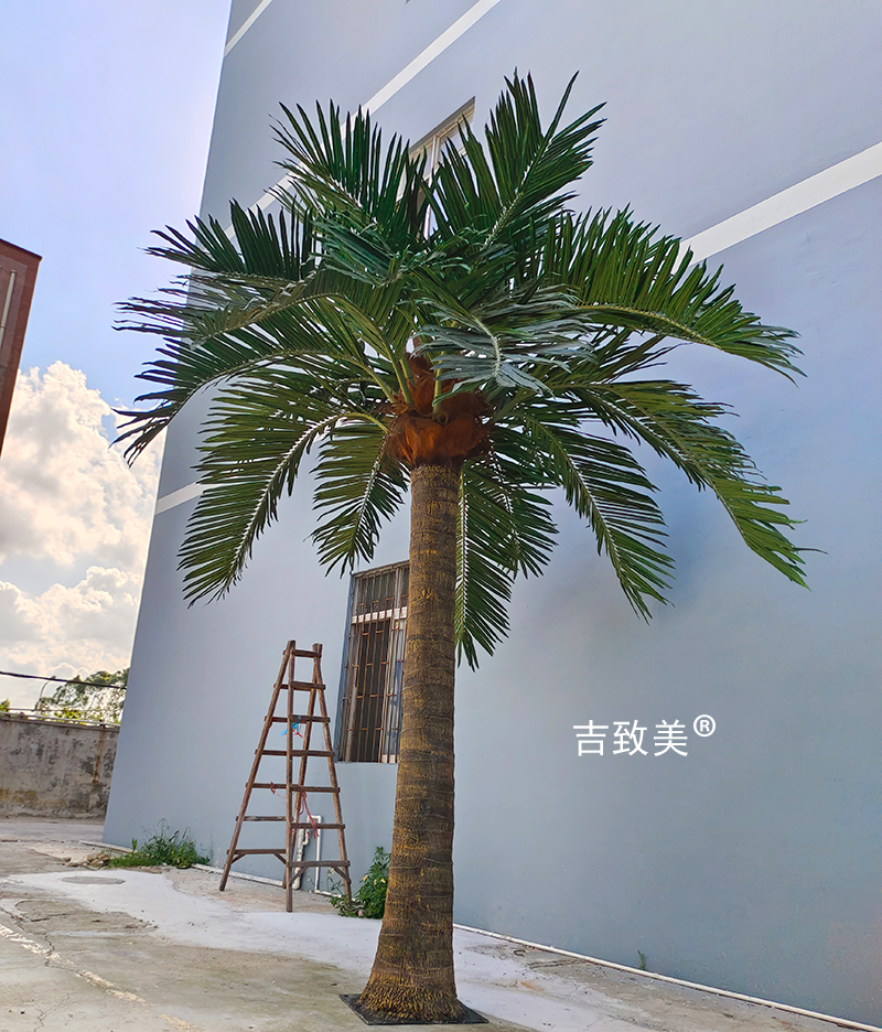 大型仿真椰子树图片