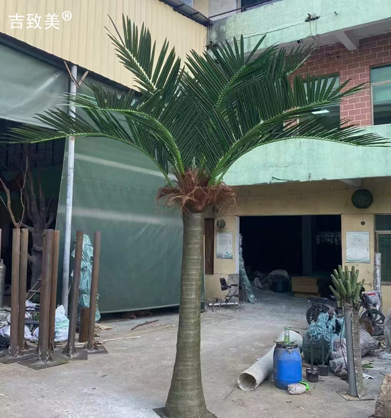 大型仿真椰子树图片