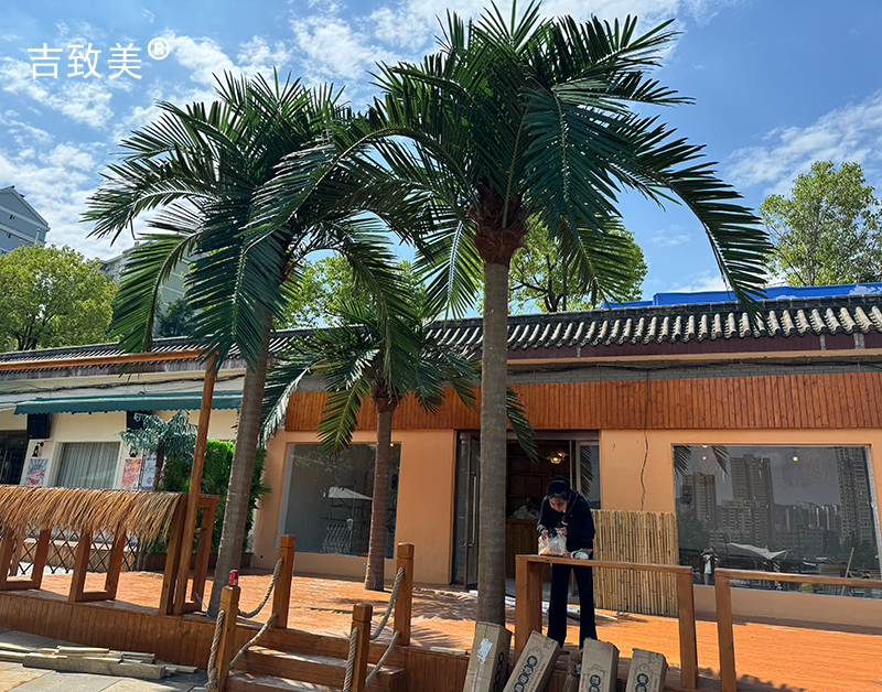 大型仿真椰子树图片