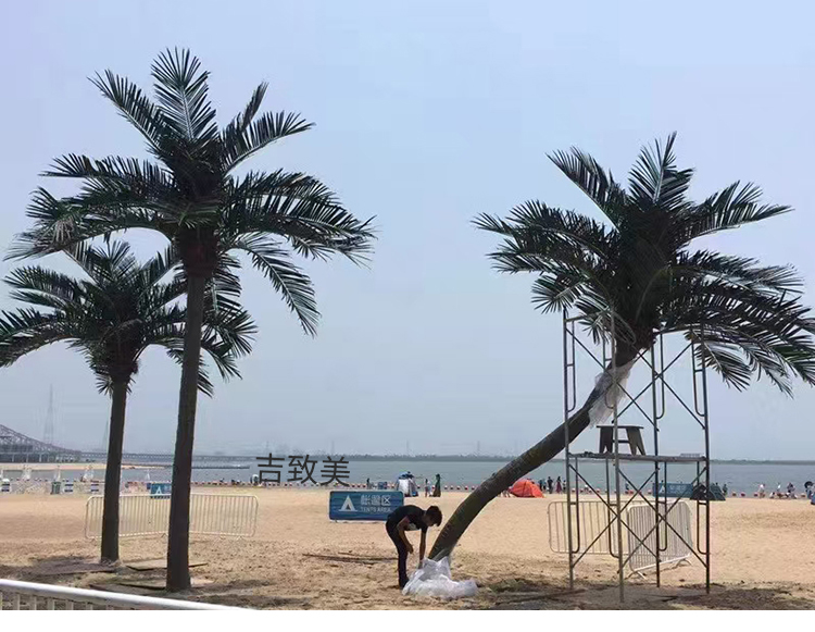 大型玻璃钢仿真椰子树图片