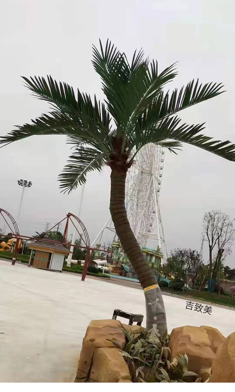 大型玻璃钢仿真椰子树图片
