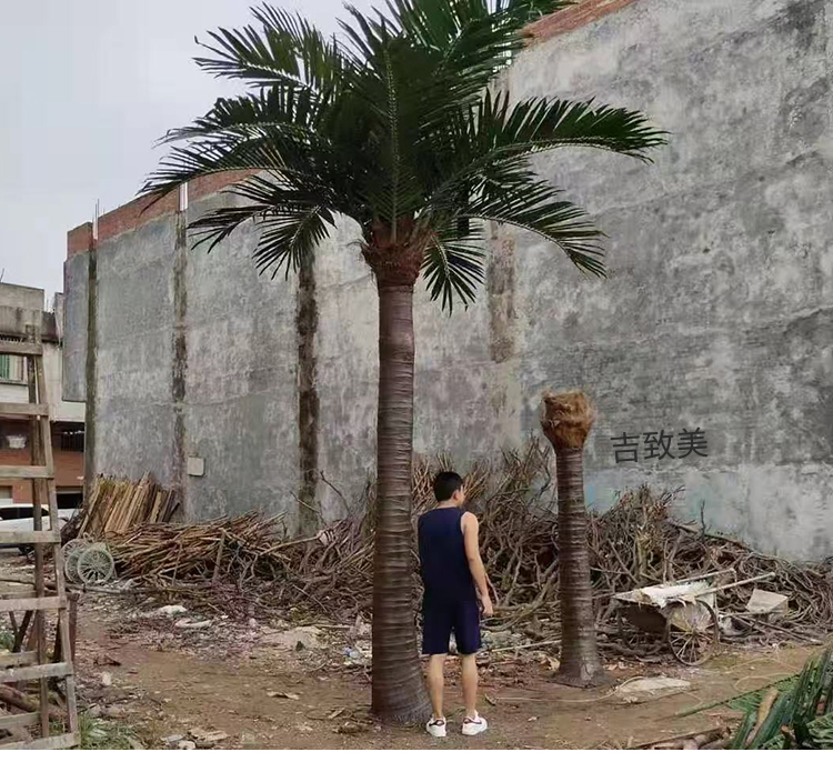 大型玻璃钢仿真椰子树图片