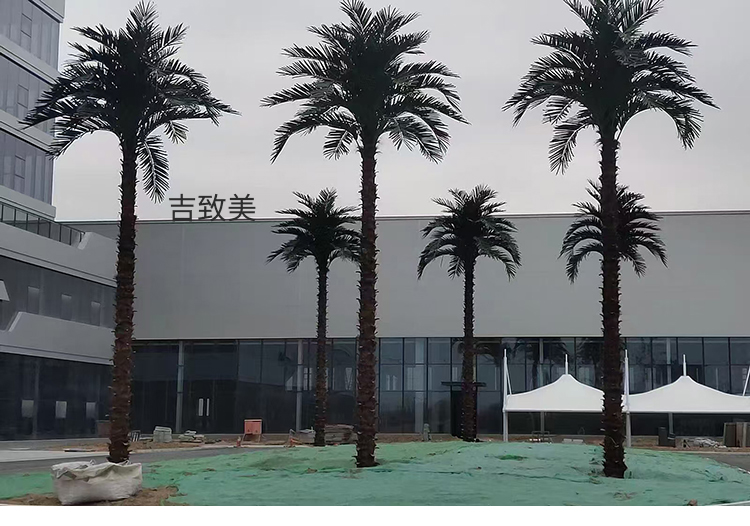 大型玻璃钢仿真椰子树图片