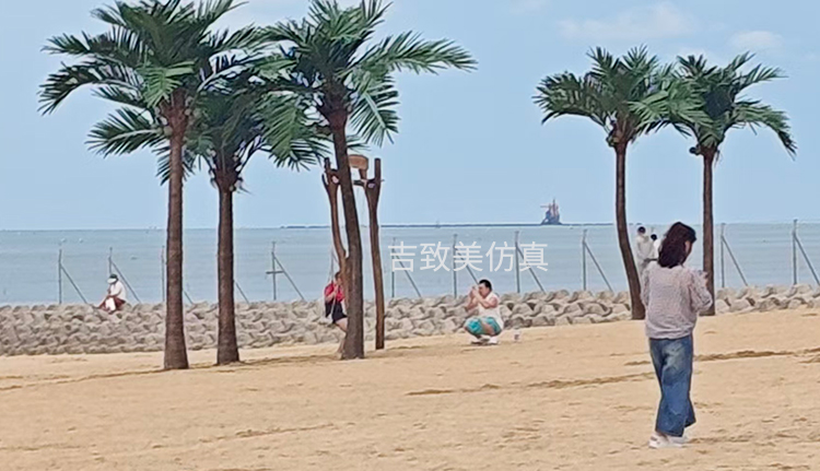 大型玻璃钢仿真椰子树图片