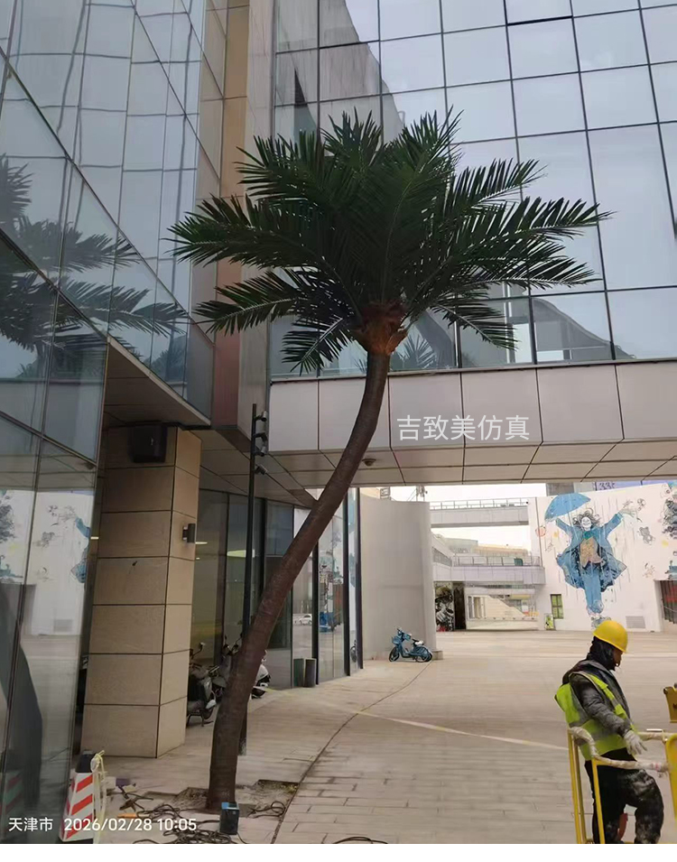 大型玻璃钢仿真椰子树图片