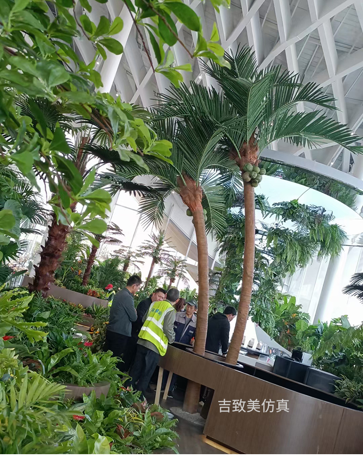 大型玻璃钢仿真椰子树图片