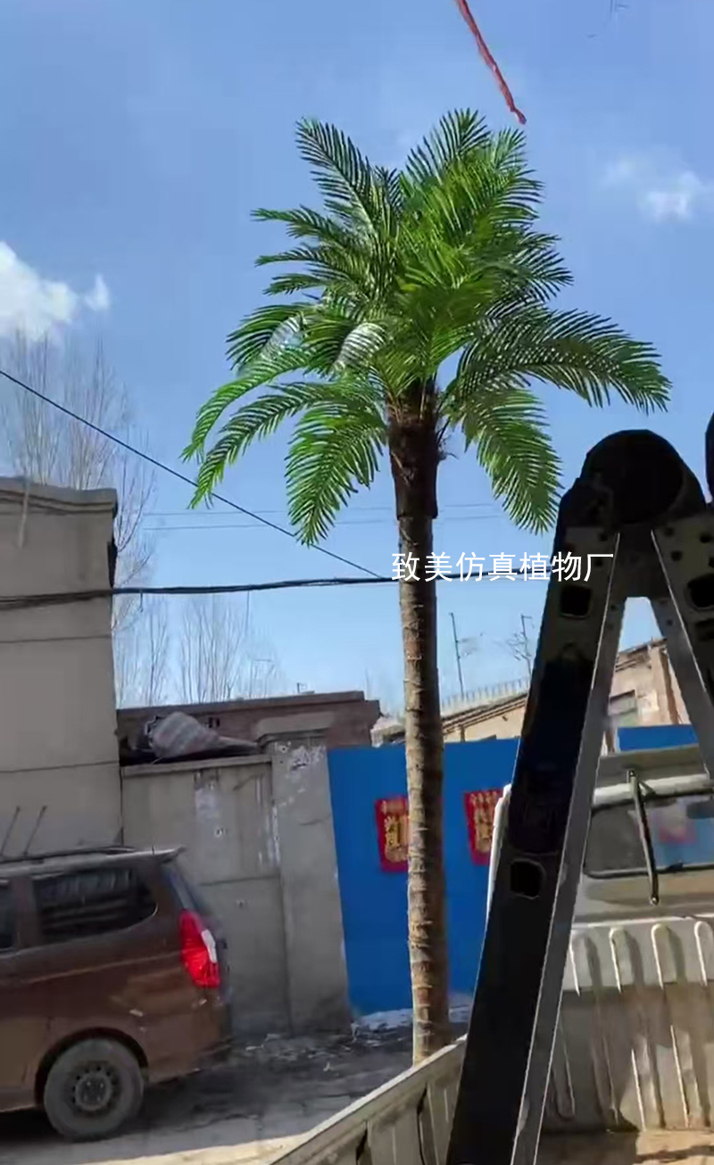 真树杆仿真椰子树图片