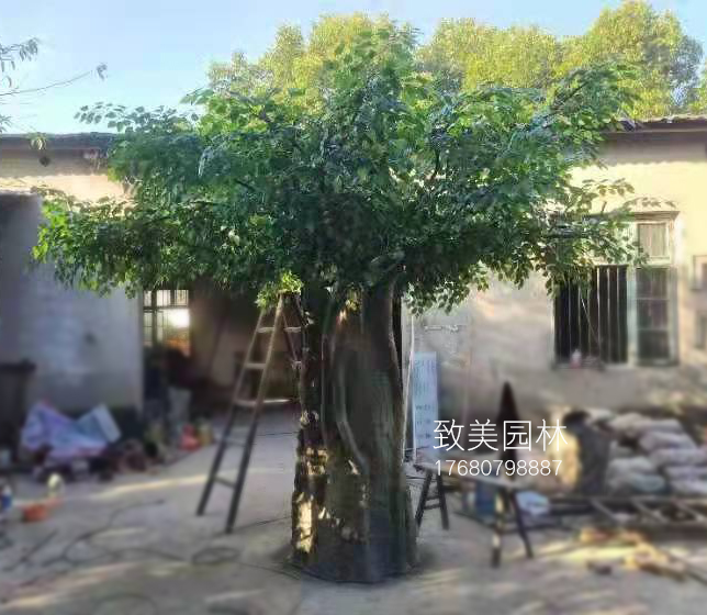 大型仿真树榕树照片