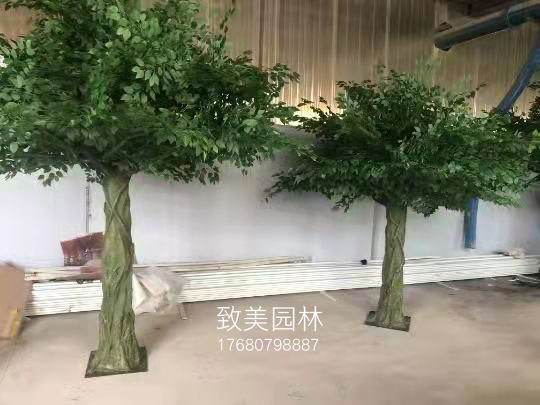 仿真榕树图片