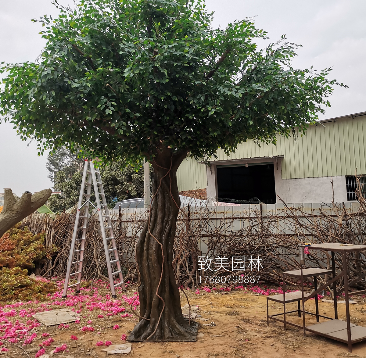 弯杆造型仿真榕树图片