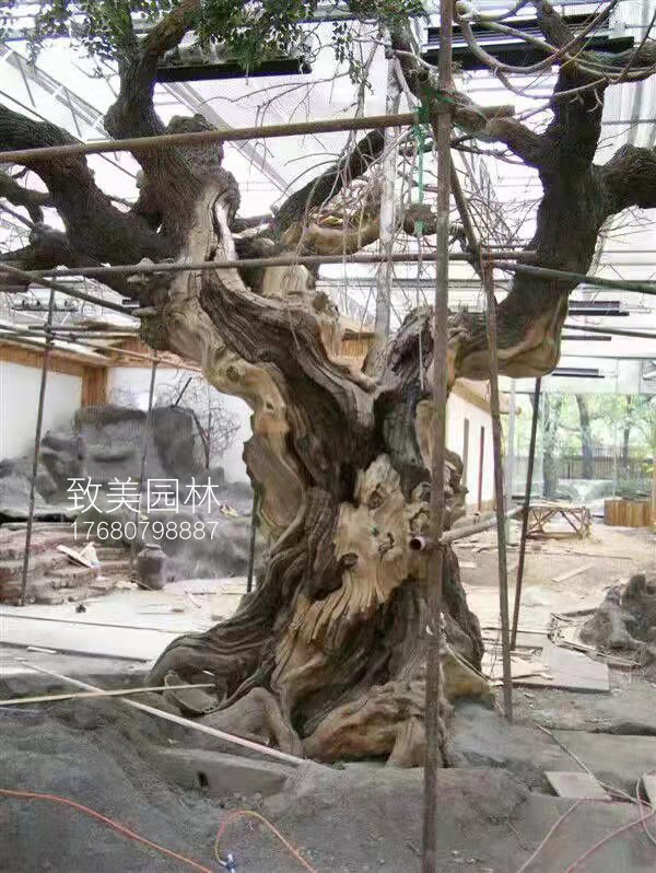 水泥仿真树大榕树枯树桩施工